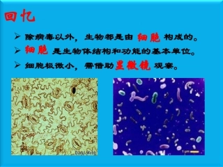 二单元1练习使用显微镜