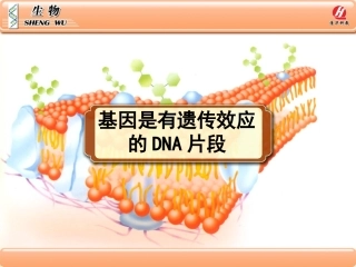 生物②必修34《基因是有遗传效应的DNA片段》PPT课件