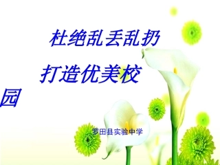 杜绝乱丢乱扔主题班会