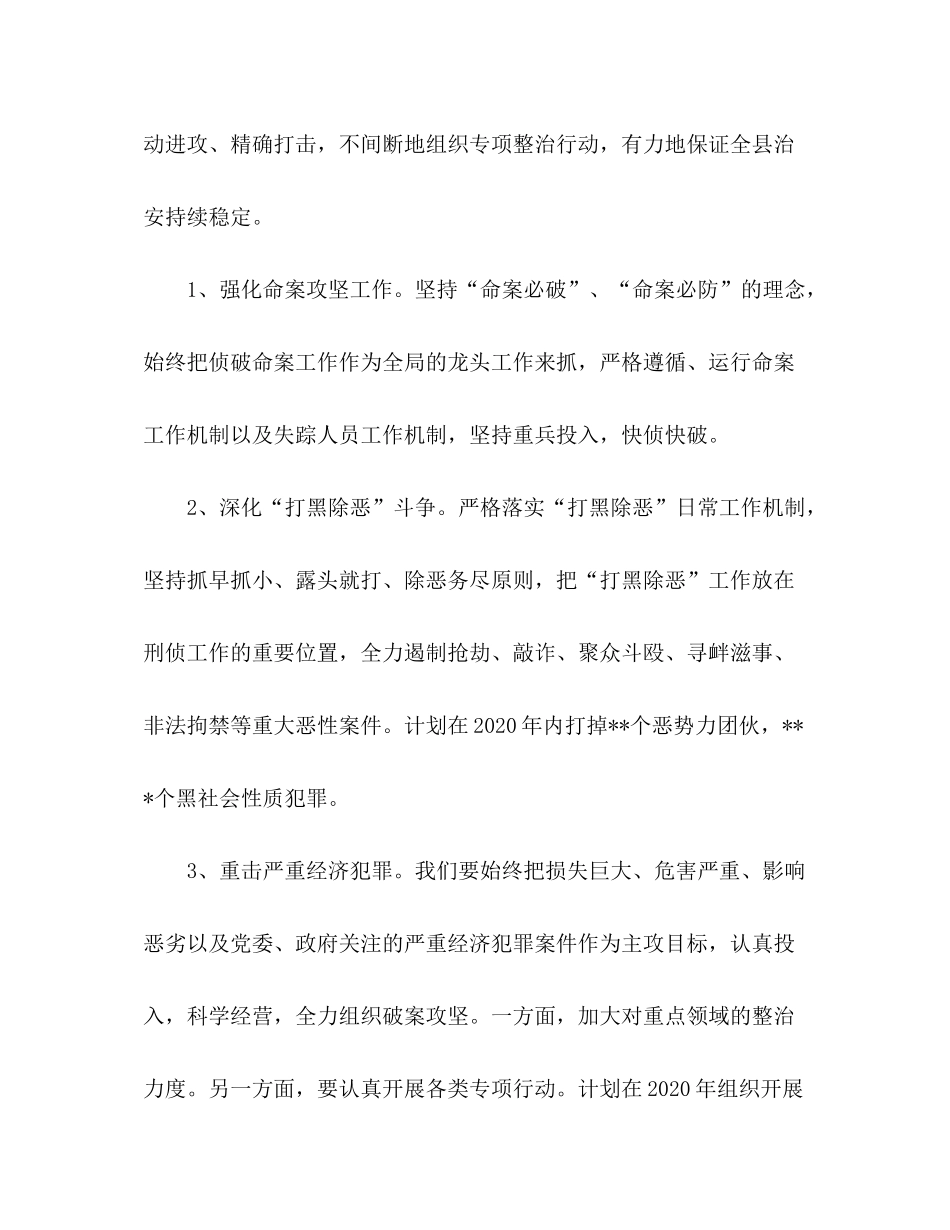 2020年县公安工作计划_第3页