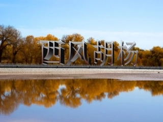 小学五年级语文上册西风胡杨