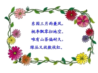 三年级语文上册山茶花1课件鄂教版