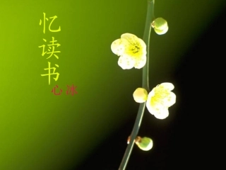 忆读书自制PPT课件