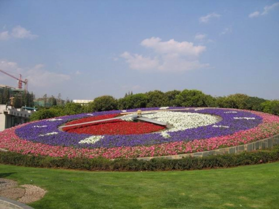 三年级上语文教案-花钟-人教新课标_第3页