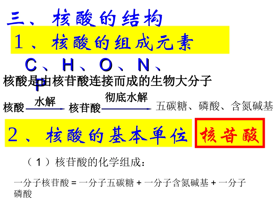生物必修一核酸课件_第3页