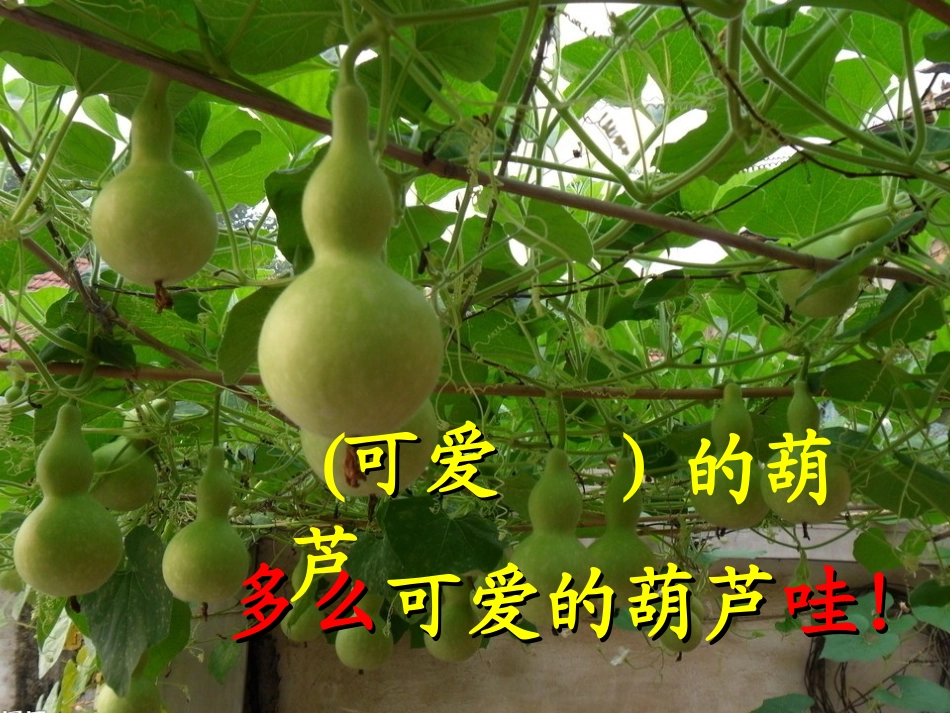 我要的是葫芦 (4)_第2页