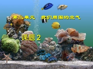 九年级化学上册22我们周围空气
