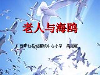 老人与海鸥（广西那坡县城厢镇中心小学梁廷旺）