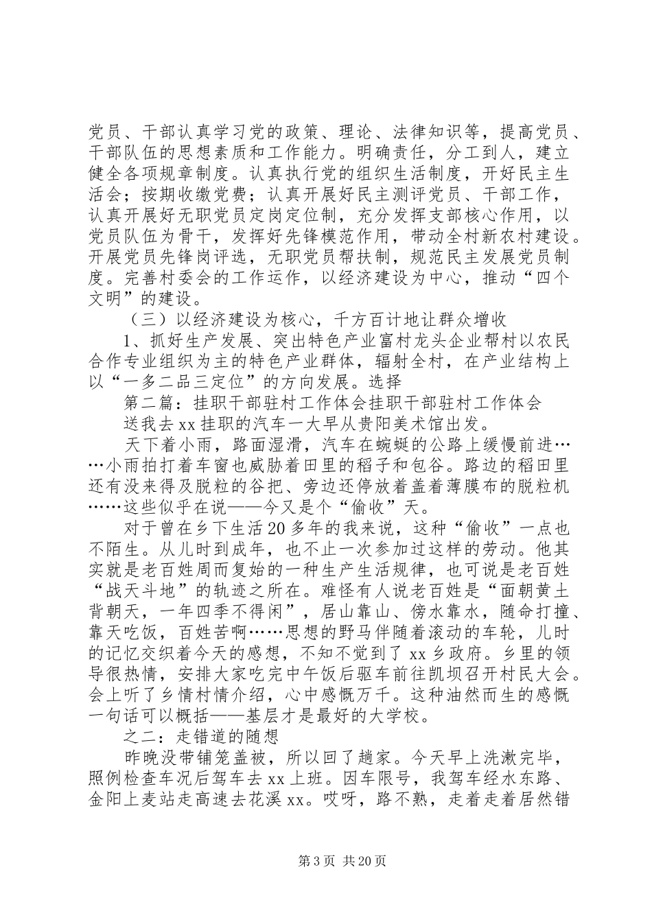 驻村挂职干部述职报告_第3页