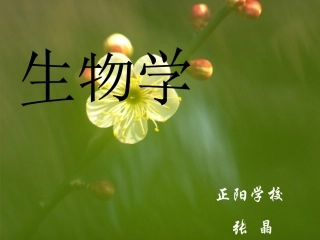 植物体的结构层次用