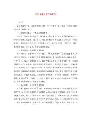 2020年审计员工作计划