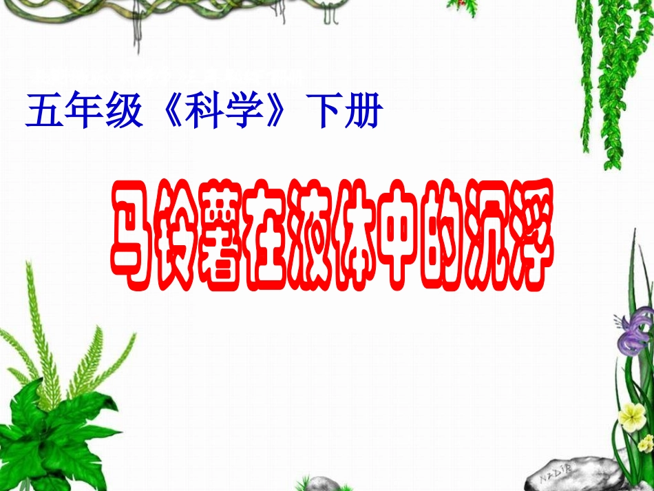 《马铃薯在液体中的沉浮》教学课件_第1页