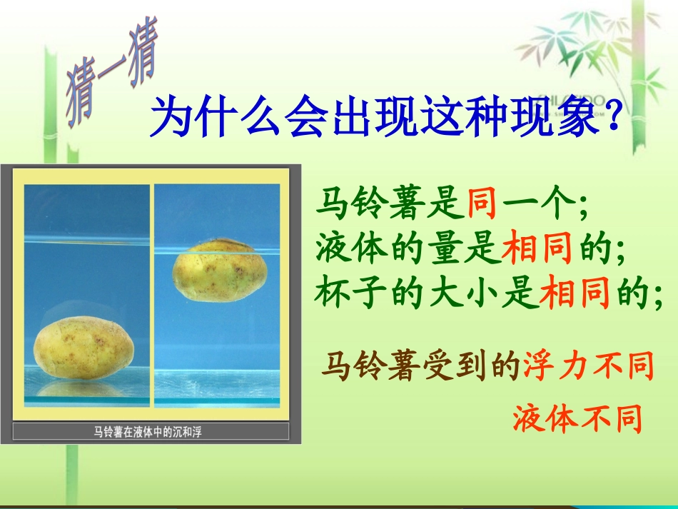 《马铃薯在液体中的沉浮》教学课件_第2页