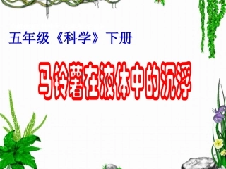 《马铃薯在液体中的沉浮》教学课件