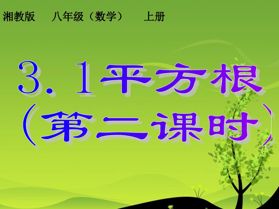 湘教版八年级上31平方根(第二课时)_第1页