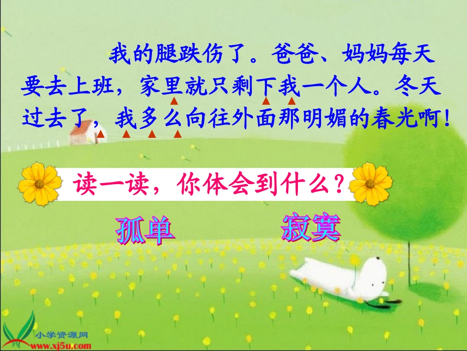 《雪儿》第二课时_第2页