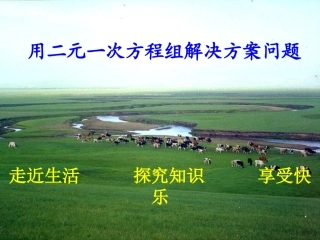 用二元一次方程组解决方案问题