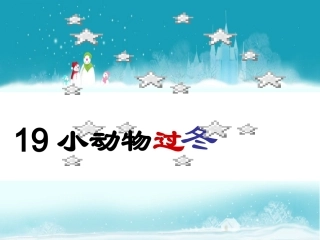 小动物过冬 (4)