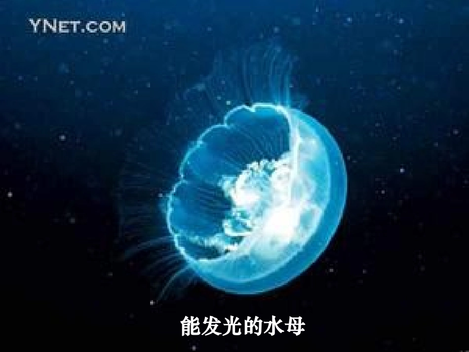 现代生物技术(八年级)_第2页
