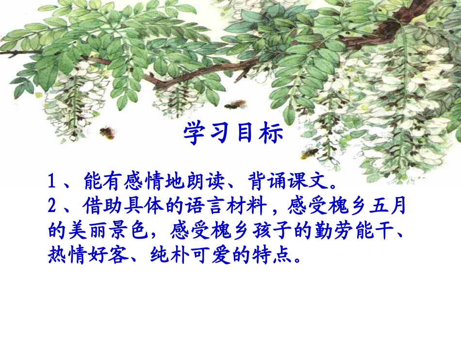 槐乡五月第二课时_第2页