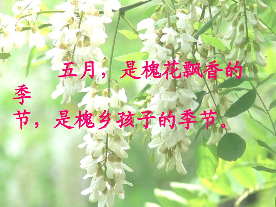 槐乡五月第二课时_第3页