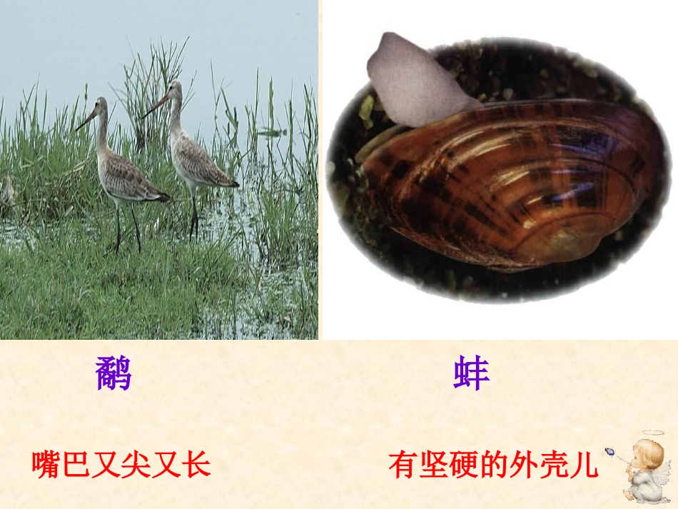 三年级语文上册3《鹬蚌相争》课件_第3页