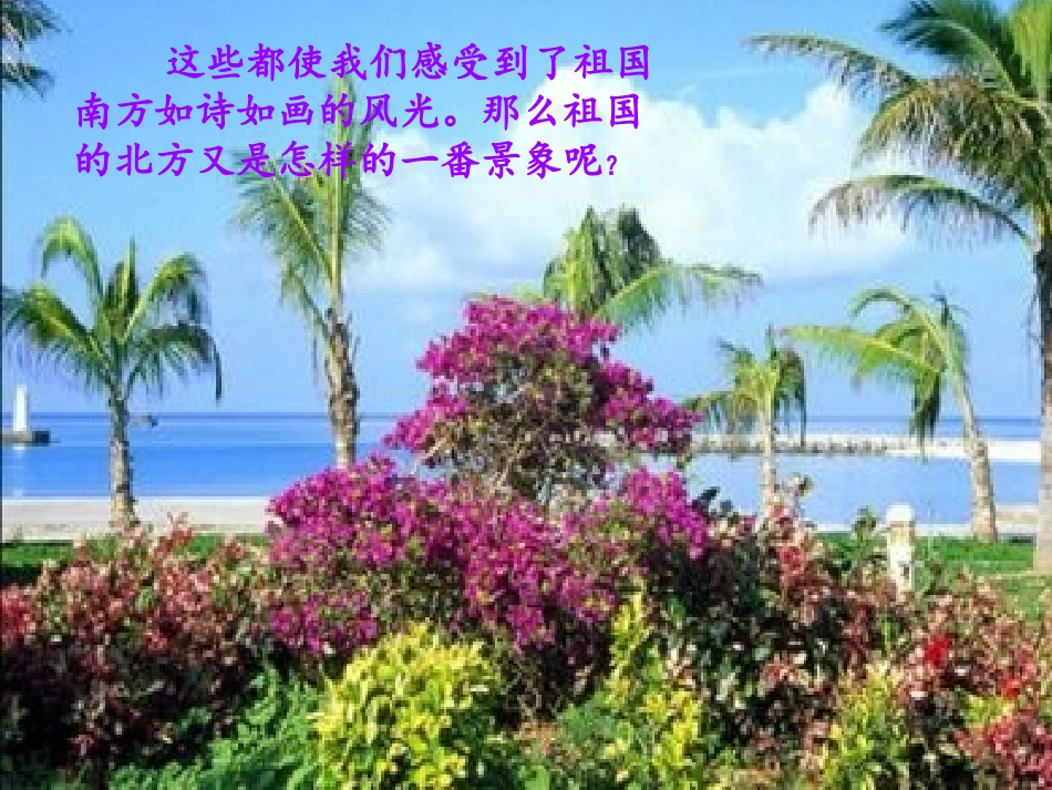 人教新课标版小学三上《美丽的小兴安岭》课件_第2页