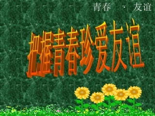 把握青春珍爱友谊
