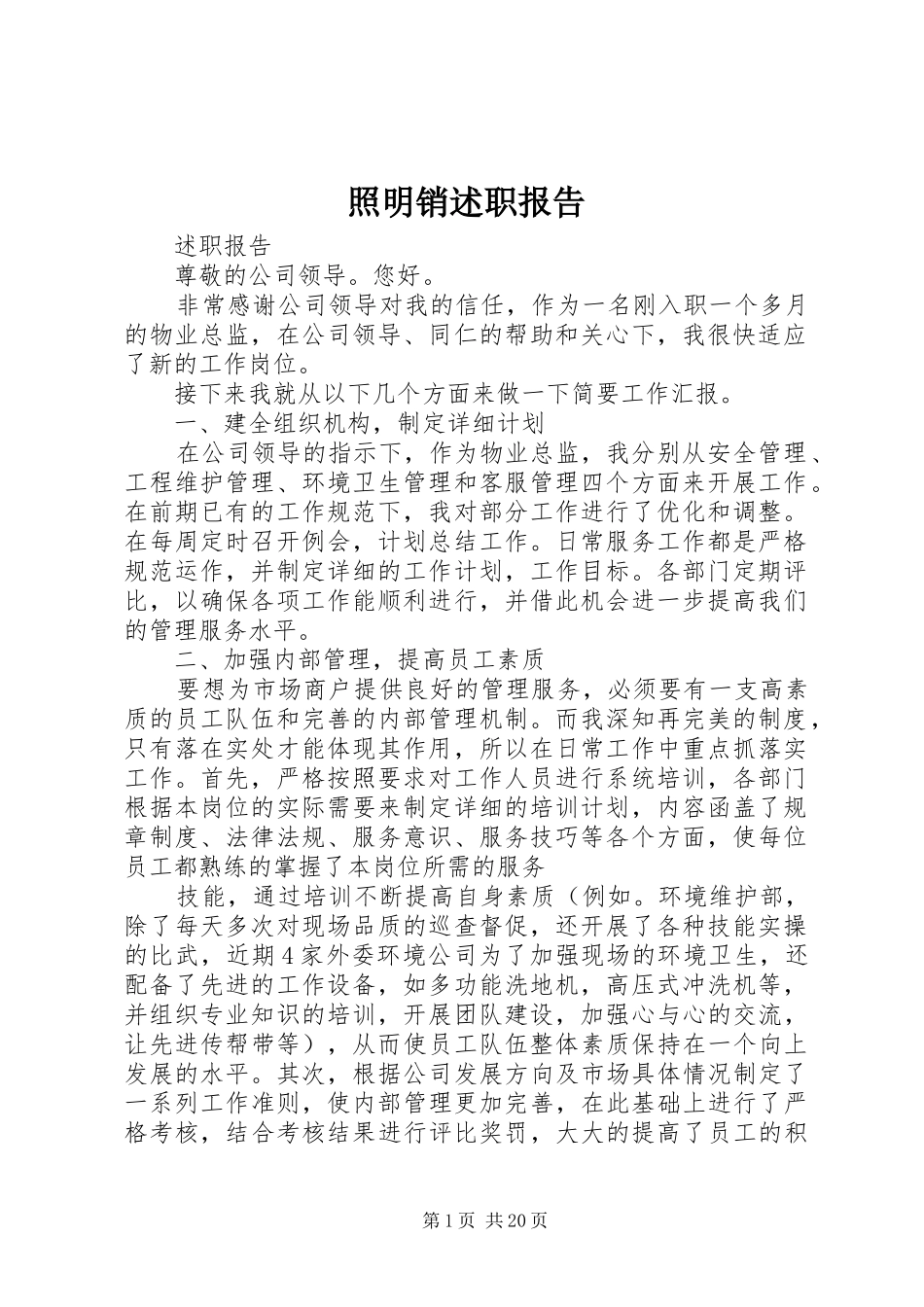 照明销述职报告_第1页