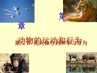 先天性行为和学习行为 (2)