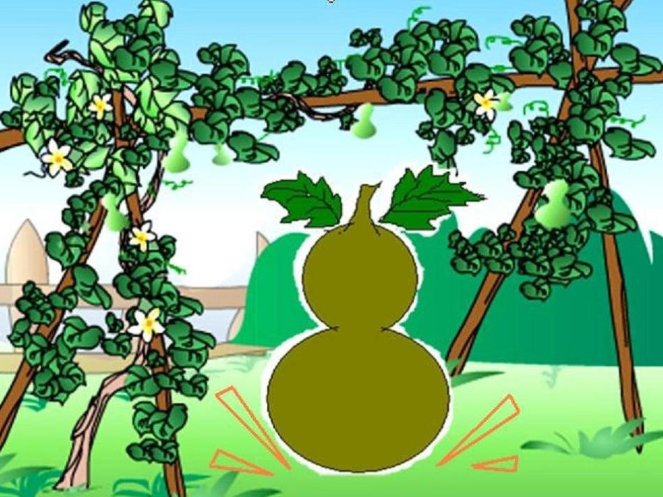 我要的是葫芦课件_第2页