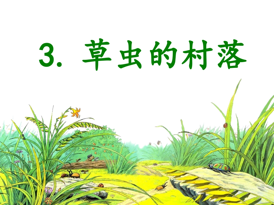 《草虫的村落》课件_第1页