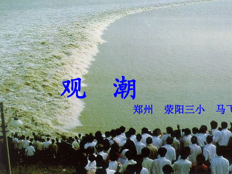人教版四年级上册观潮_第1页