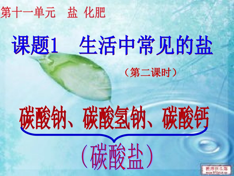 课题1++生活中常见的盐(第二课时)_第1页