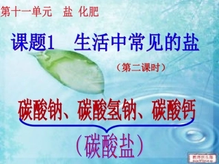 课题1++生活中常见的盐(第二课时)