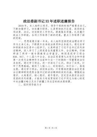 政法委副书记XX年述职述廉报告