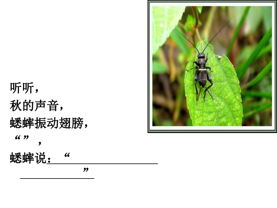 听听秋的声音 (3)_第3页
