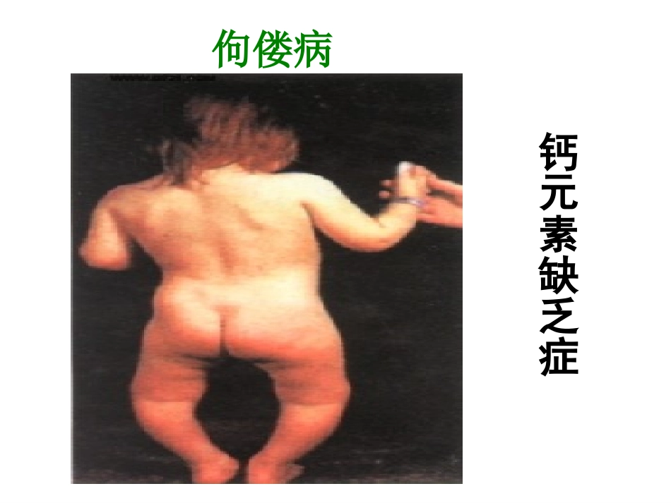 课题2元素（1）_第1页
