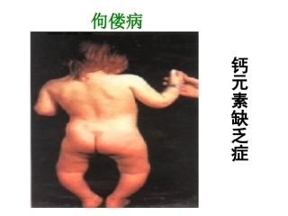 课题2元素（1）
