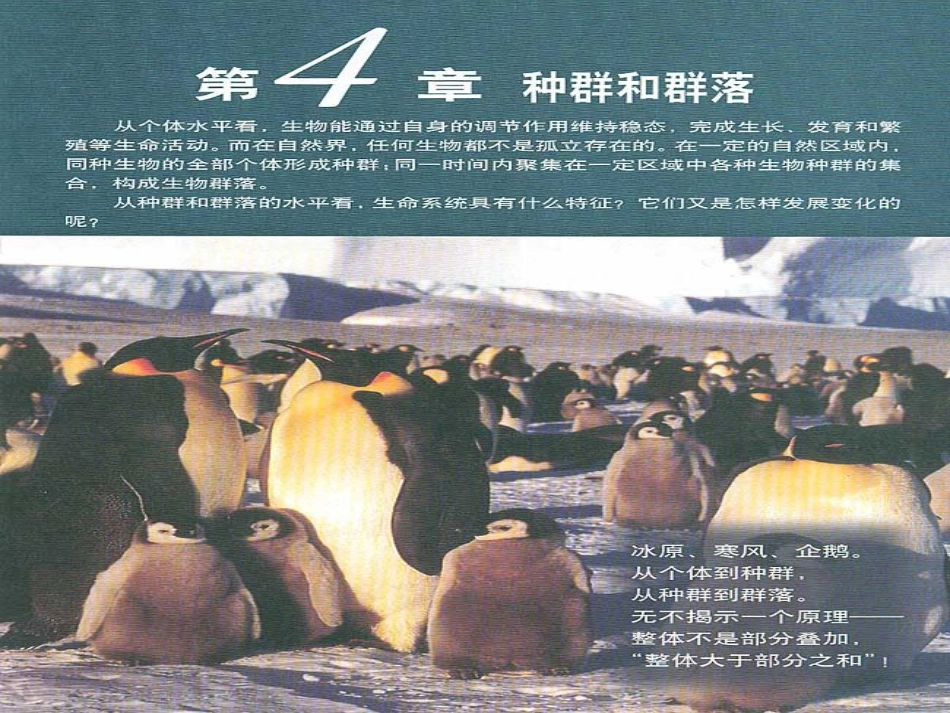 生物：41《种群的特征》课件(新人教版必修3)(1)_第1页