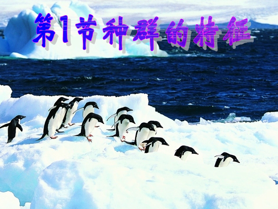 生物：41《种群的特征》课件(新人教版必修3)(1)_第2页