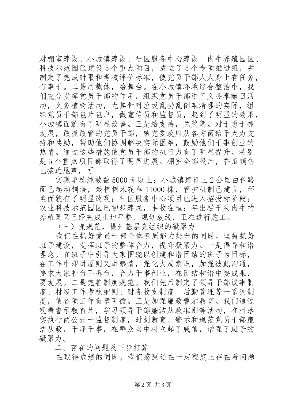 照明村书记抓基层党建工作专项述职报告0_第2页