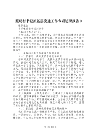照明村书记抓基层党建工作专项述职报告0