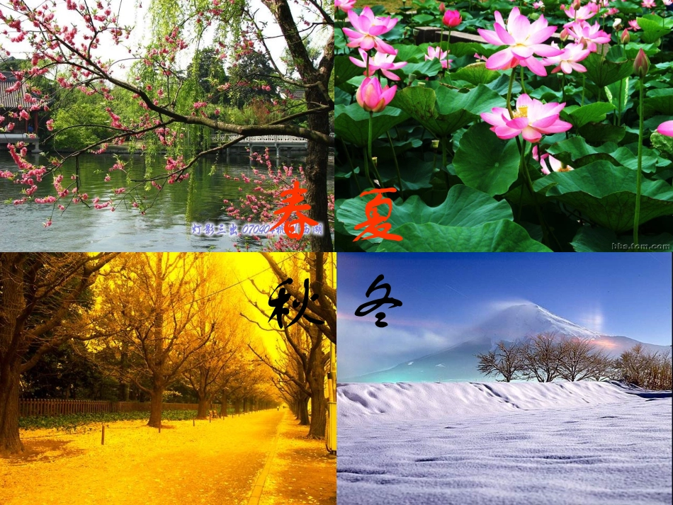 语文一年级《四季》课件 (2)_第2页