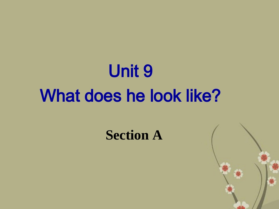 七年级英语下册Unit9Whatdoeshelooklike？SectionA课件（新版）人教新目标版_第1页