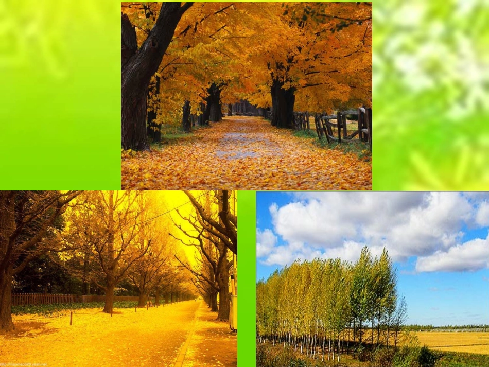 秋天的图画PPT课件_第1页