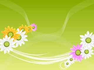 漂亮的动态花开PPT模板