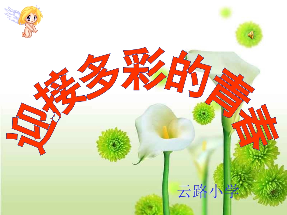 迎接多彩的青春(五、六年级男生)_第1页