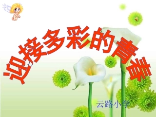 迎接多彩的青春(五、六年级男生)