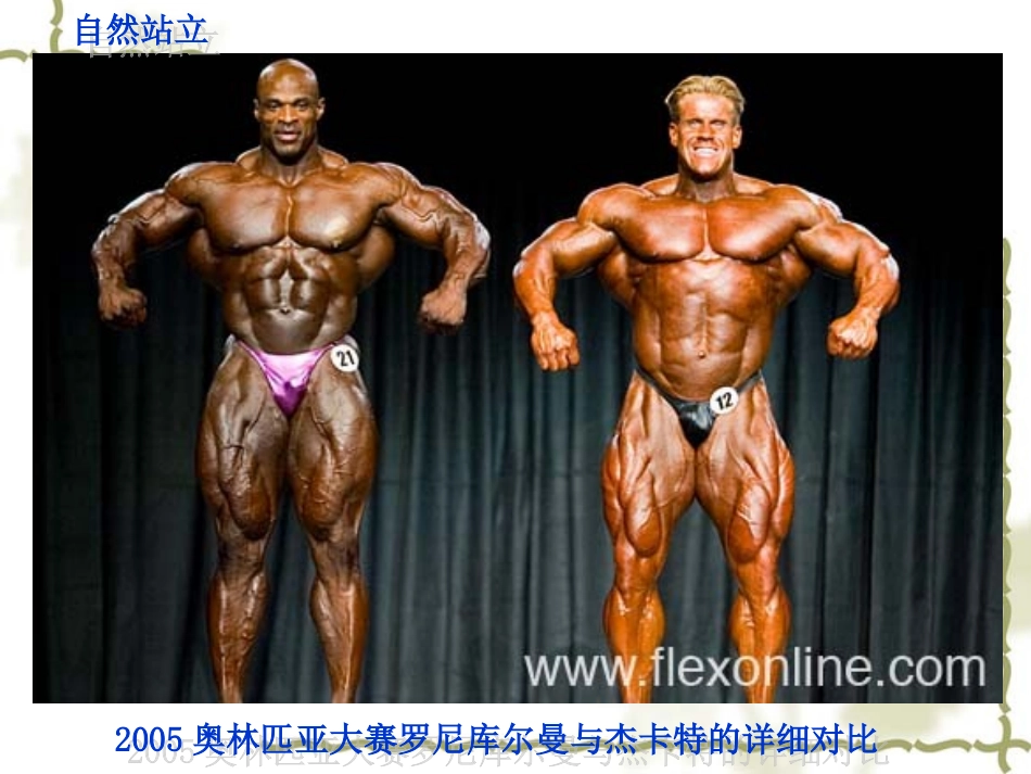 苏科版初中八上人体的支持与运动-骨骼肌课件_第2页